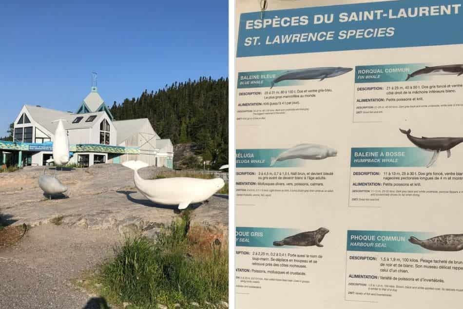 Marine Interpretation Centre Tadoussac