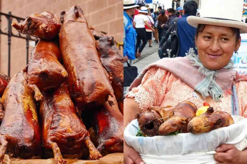 National Cuy Day Guinea pig Andean cuisine