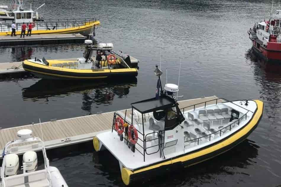 inflatable speed boat whale watching tadoussac