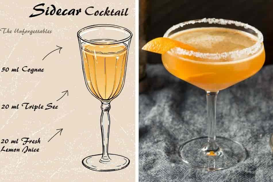 side-car-alcohol-drink-cocktail-recipe-vector-salt-martini-glass-orange